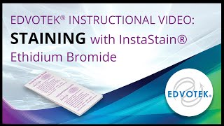 InstaStain® Ethidium Bromide  Edvotek Video Tutorial [upl. by Enyallij]