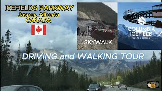 Driving and walking tour  Icefields Parkway and Columbia Icefield SkywalkJasper AB CANADA [upl. by Lutim]