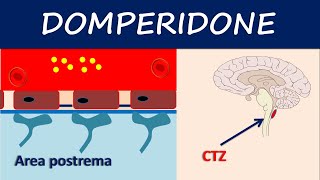 Domperidone  How it acts as an antiemetic [upl. by Elsi]