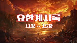 요한계시록 11장15장 ㅣ 요한계시록 ㅣ신약성경ㅣ성경듣기 66권 ㅣ 성경낭독 ㅣ 개역 한글 ㅣ 오디오 성경 ㅣ 자막 포함 ㅣ 텍스트 포함 [upl. by Radloff]