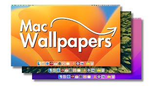 3 Ways to Set Wallpaper on Mac  How to Change Macbook Wallpaper [upl. by Nrek520]