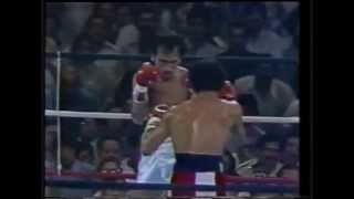 Wilfredo Gomez vs Carlos Zarate full fight HD [upl. by Amjan914]