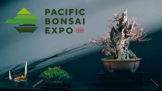 Pacific Bonsai Expo 2024 [upl. by Everrs]