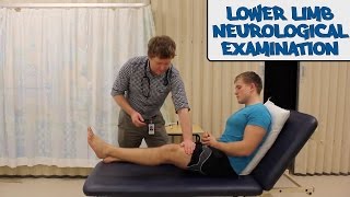 Lower Limb Neurological Examination  OSCE Guide old version  UKMLA  CPSA [upl. by Jeb]