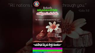 051224 Daily Word God అనుదిన వాక్యం  broShyam Ezekiel teluguchurchindohaqatar dailybread [upl. by Rillings]