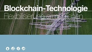 Flexibilisierung im Stromnetz ermöglichen  BlockchainTechnologie [upl. by Lajib]