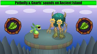 Potbelly amp Gnarls  Ancient Island Wave 1 [upl. by Lemieux]