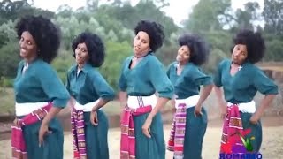 Best Ethiopian Traditional Music 2014 Solomon Demle  Mech Ayeshiwuna [upl. by Elak]