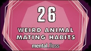 26 Weird Animal Mating Habits  mentalfloss on YouTube Ep 20 [upl. by Ahsrats]