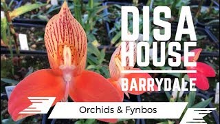 The Disahouse —Barrydale Feb 2018 [upl. by Neeloj]