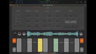 Salome  MPE Audio Sampler  Record Import Play by Bram Bos For iOS  Unspoken demo and tutorial [upl. by Finnigan]