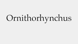 How to Pronounce Ornithorhynchus [upl. by Violetta]