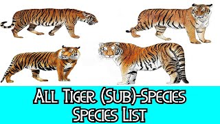 All Tiger SubSpecies  Species List [upl. by Dempsey754]