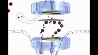 Ultrafiltrationflv [upl. by Bathsheb301]