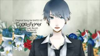 【KAITO V3】Caged Flower English and romaji subs [upl. by Ailegna]