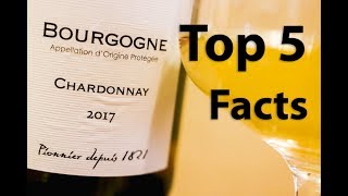 Chardonnay Wine 101  A Beginners Guide [upl. by Dora]