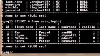 MySQL Tutorial for Beginners  3  Selecting Data from Tables in a Database [upl. by Kalikow323]