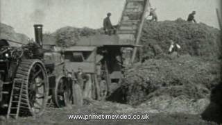 Working tractors and machinery video  Lincolnshire [upl. by Stultz]