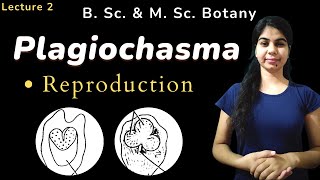 Plagiochasma  Reproduction  Botany  B Sc amp M Sc [upl. by Iover317]