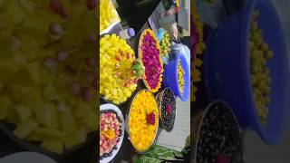 Fruits festival funny music song [upl. by Amhser]