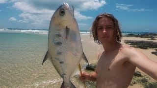 Spearfishing the Shallows  Catch n Cook on the Beach [upl. by Virnelli]