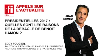 Quelles sont les raisons de la débâcle de Benoît Hamon [upl. by Landri885]