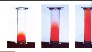 Grahams Law [upl. by Ecnarwal]