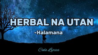 HERBAL NA UTAN  Rudy Tagsip of Halamana Lyrics [upl. by Balf852]