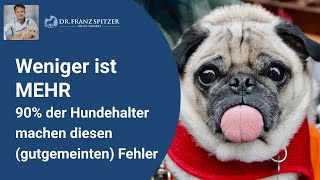 90 der Hundehalter machen diesen gutgemeinten Fehler [upl. by Andres]