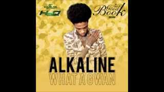 ALKALINE  WHA A GWAN  GOOD BOOK RIDDIM  H2O RECORDS  21ST HAPILOS DIGITAL [upl. by Annahtur]