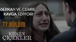 Kırgın Çiçekler 77Bölüm  Serkan ile Cemre’nin Kavgası [upl. by Donald]