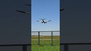 Transavia landing At Eindhoven Airport ✈️ [upl. by Fernyak310]