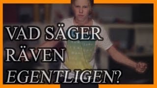 VAD SÄGER RÄVEN EGENTLIGEN [upl. by Omari]