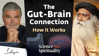 Gut Microbiome Fermented Foods amp the Power of Your Second Brain  Dr Emeran Mayer amp Sadhguru [upl. by Streeto106]