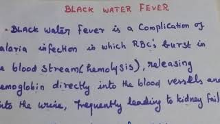 Black Water Fever [upl. by Seto]