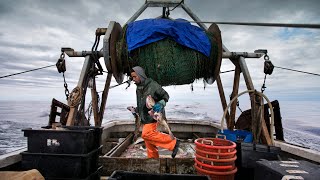 Emergency intervention application fails for NL fishermen [upl. by Suryt]