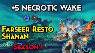 Mastering Necrotic Wake at 5 as Farseer [upl. by Ahsertal]