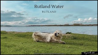 Rutland Water Dam｜Virtual Walk｜Dog Walking Route｜4K [upl. by Uel723]