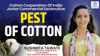 Pest of Cotton I CCI Cotton Corporation Of India I Junior Commercial Excecutive Exam [upl. by Llertnac199]