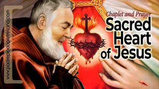 Chaplet of Sacred Heart of Jesus  Padre Pios favorite Prayer ᴴᴰ [upl. by Annoirb924]