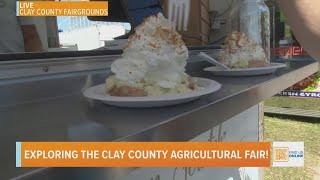 Exploring the Clay County Agricultural Fair [upl. by Howarth]