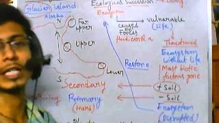 Ecological succession [upl. by Herwig]