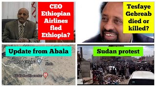 Tesfaye Gebreab  CEO Ethiopian Airlines  Abala Afar Tigray  Sudan [upl. by Rahsab]