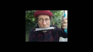 Jazzy quot Singing in the Rain quot  Harmonica240621 Take 3 shortsvideo [upl. by Craddock]