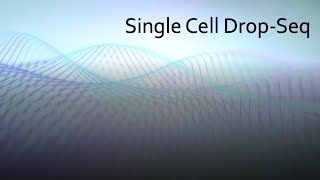 Intro to Single Cell DropSeq [upl. by Alcine]