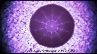 Micro cymatics experiment with a sonicallyexcited sessile water drop [upl. by Ashil822]