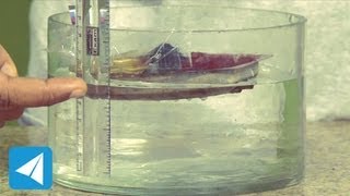 Floating objects displace water equal to their own weight  Flotation  Physics [upl. by Sabec]