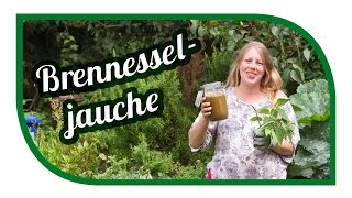 Brennesseljauche herstellen ansetzen🌱 Unser Spezialrezept 🌱 Brennnesseljauche Bester Dünger [upl. by Marilyn]