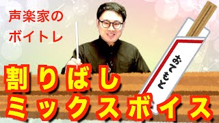 【声楽ボイトレ】割りばしミックスボイス【Labo24】 [upl. by Margi]