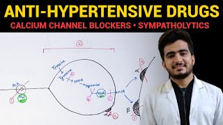 AntiHypertensive Drugs  3  CVS Pharmacology  EOMS [upl. by Ffoeg]